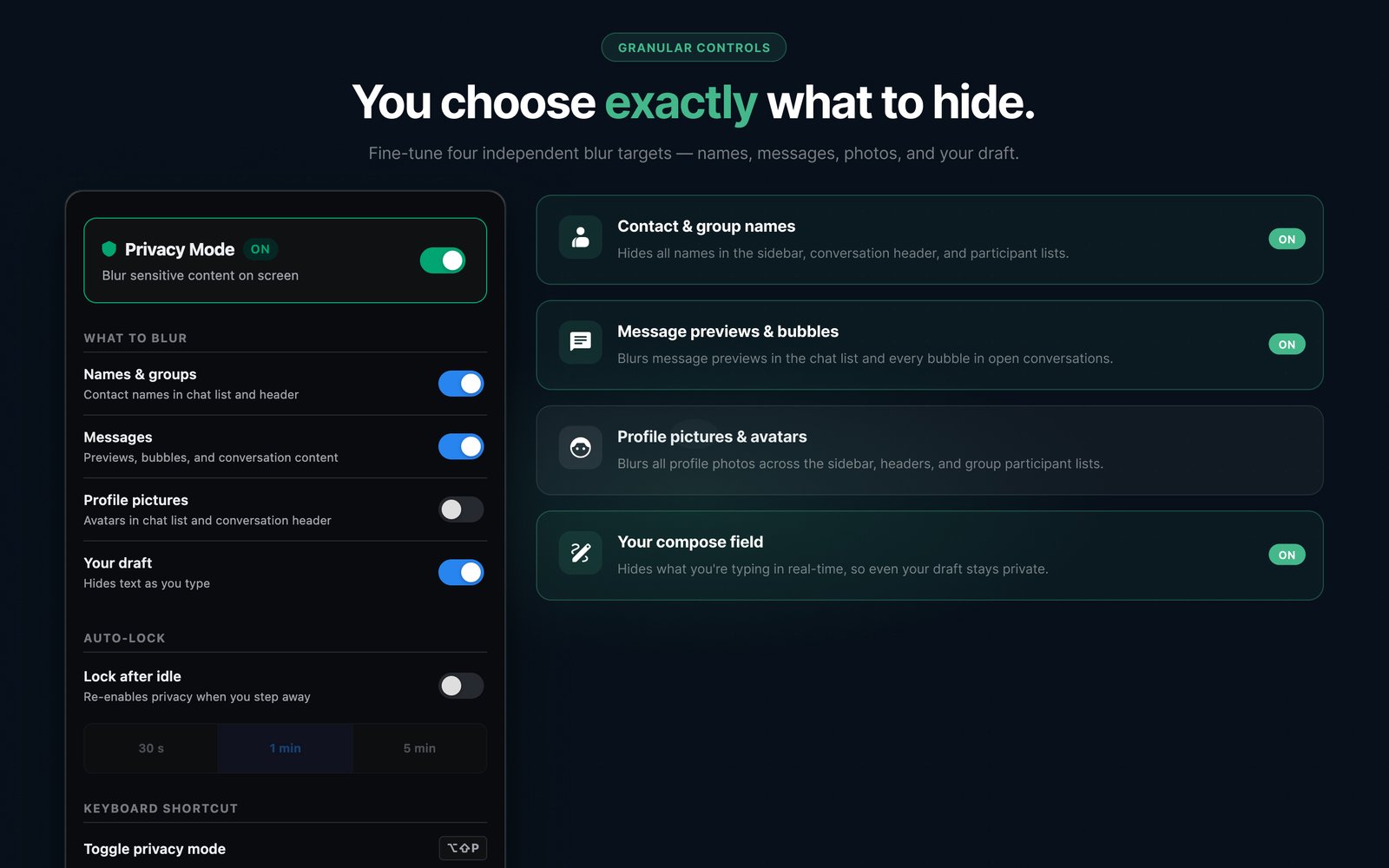 Chat Privacy Screen controls panel with four independent blur toggles: Contact & group names, Message previews & bubbles, Profile pictures & avatars, and Your compose field — each with an on/off toggle